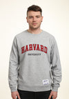 Park Fields Mikina (Harvard University Script)