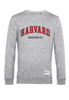 Park Fields Mikina (Harvard University Script)