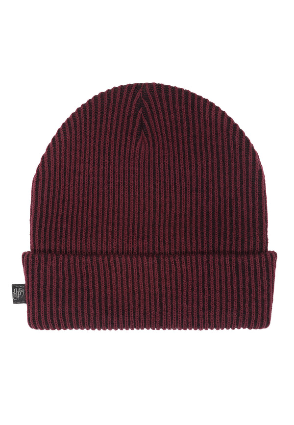 Harry Potter Čepice Unisex (Gryffindor)