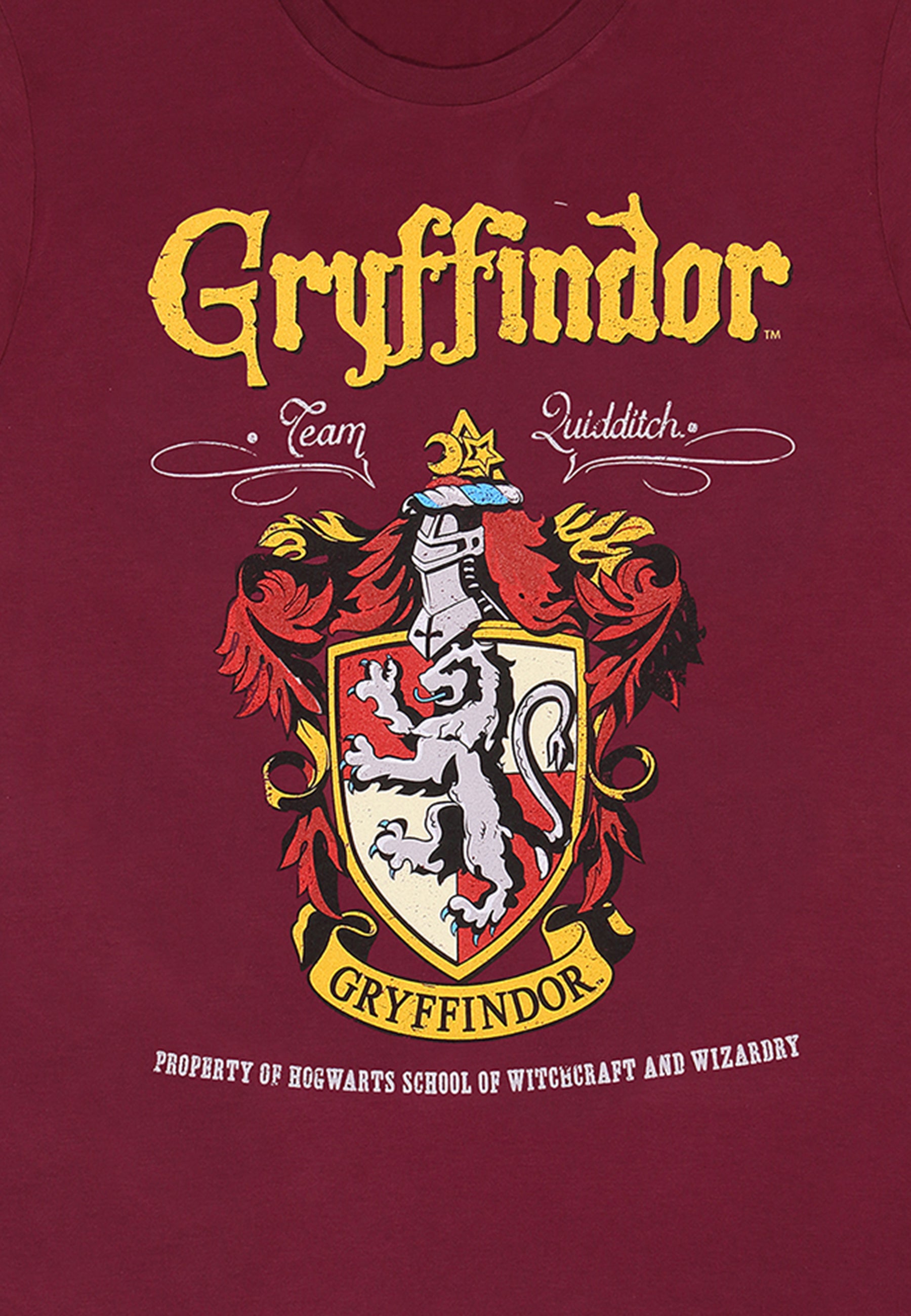 Harry Potter Tričko Unisex (Gryffindor Red)