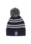 Harry Potter Čepice Unisex (House Ravenclaw)
