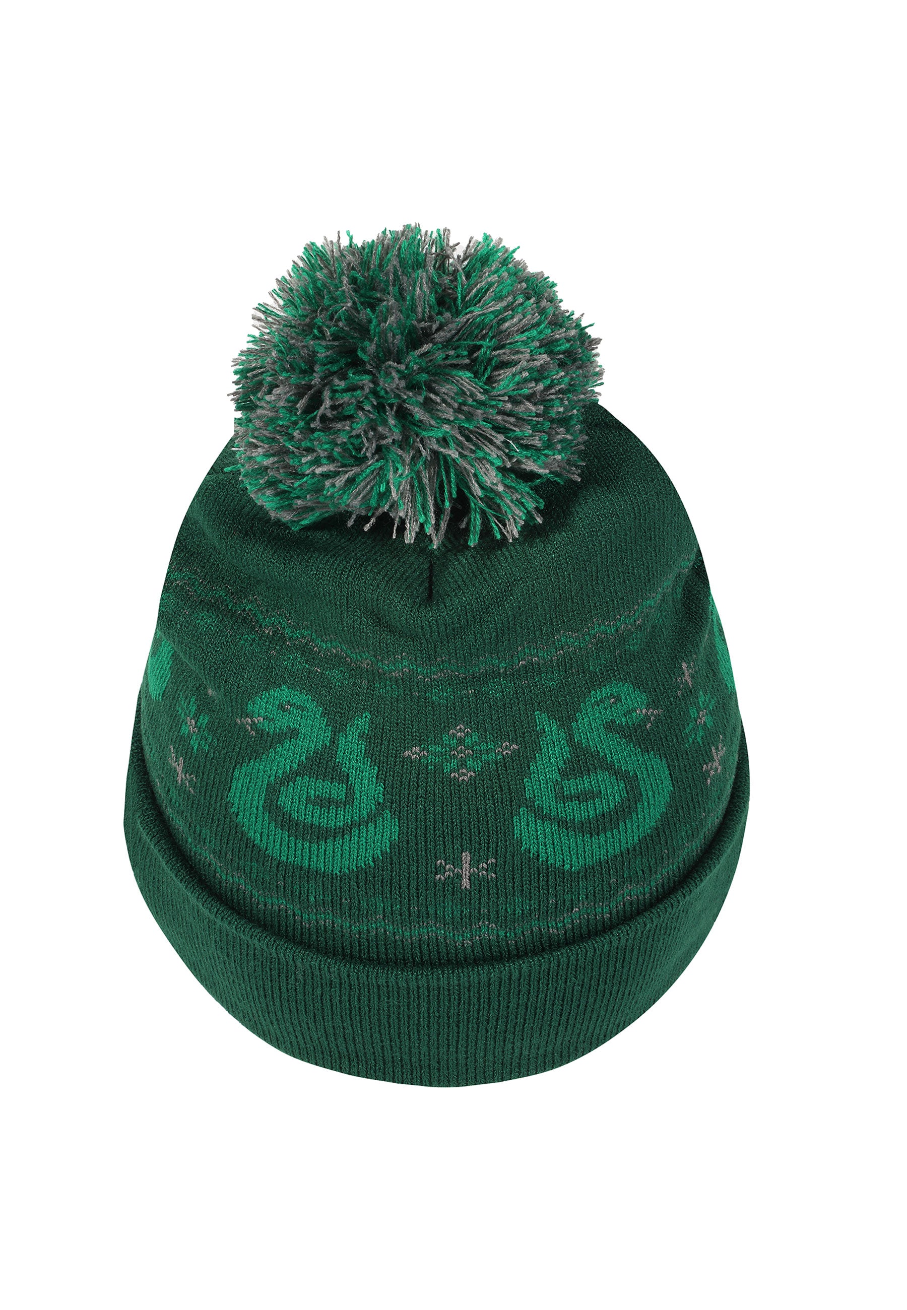 Harry Potter Čepice Unisex (Slytherin)