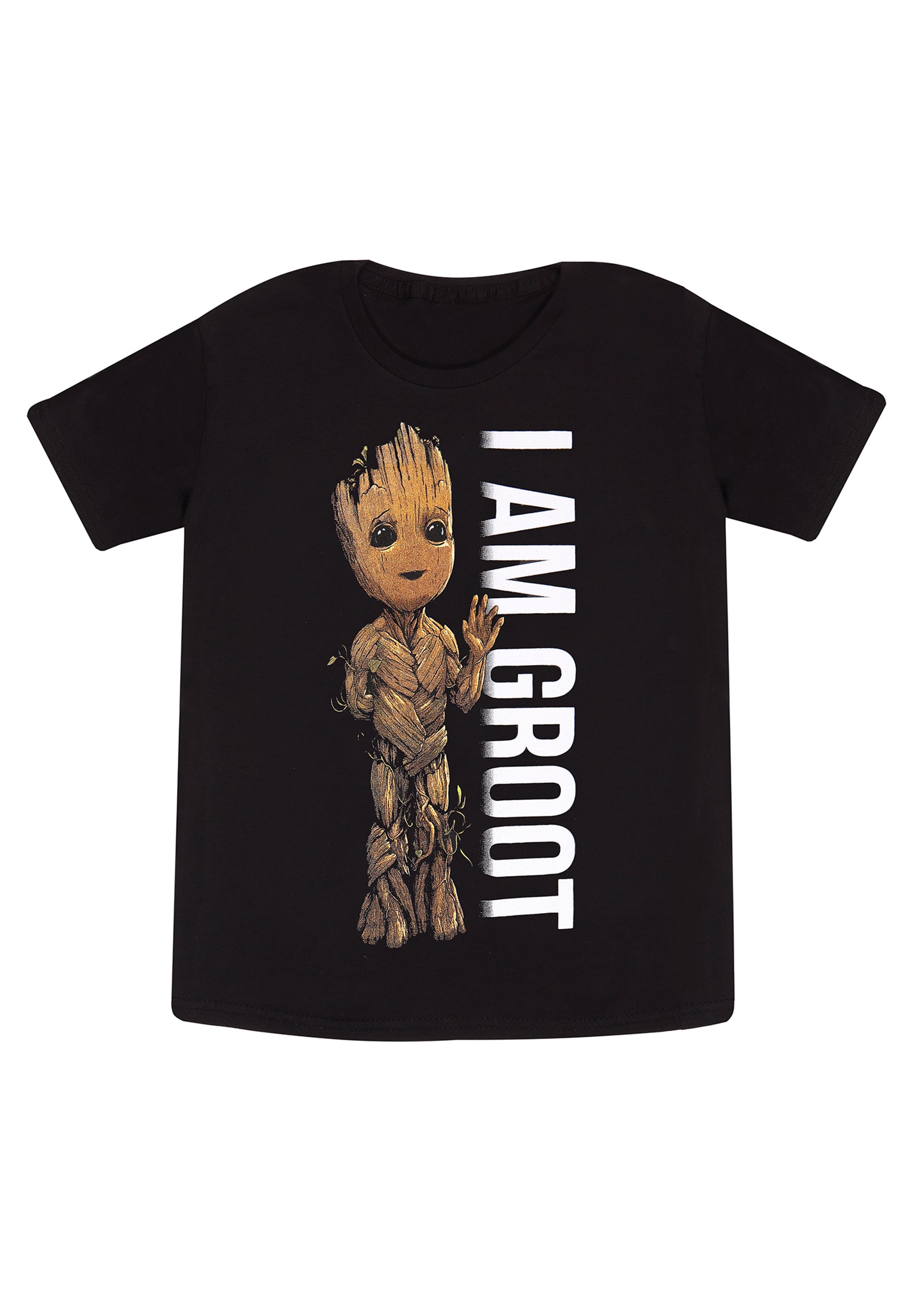 Já Jsem Groot Dětské Tričko (I Am Groot - Profile Kids T-shirt)