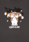 Gremlini Chlupatá Koule Tričko (Gremlins - Fur Balls T-shirt)